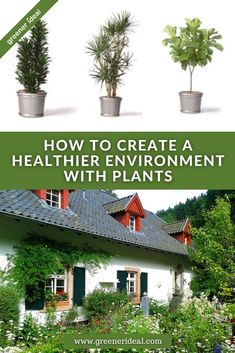 how to create a healthier environment with plants