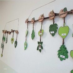 a bunch of different items are hanging on the wall with name tags attached to them