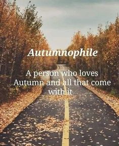 an empty road with leaves on it and the words autumnvillee written in white