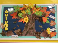 an autumn bulletin board with leaves and acorns in the shape of a tree