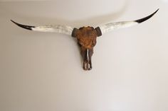 an animal's skull mounted on the wall with long horns and large white, brown and black feathers