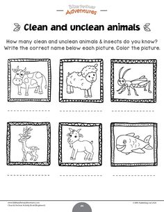 an animal worksheet for children to learn how to draw and color the animals