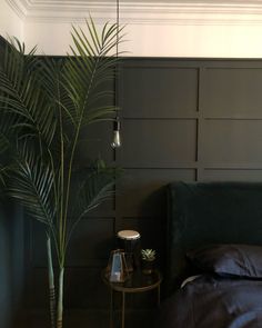 a bed sitting next to a green plant on top of a table