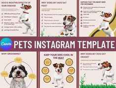 the instructions for how to use an instagram post with dogs on it and what they mean