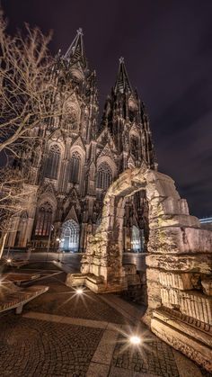 an old cathedral lit up at night with its lights on and trees in the foreground