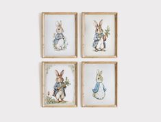 four framed pictures of rabbits holding carrots