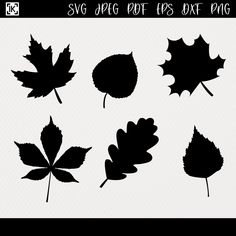 the silhouettes of leaves are shown in black and white, with one leaf on each side