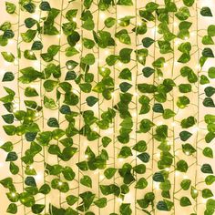 some green leaves are hanging on the wall with lights around them and there is no image here to provide a caption for