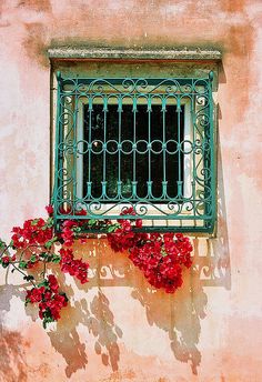 red flowers are growing on the side of an old building with a green iron window