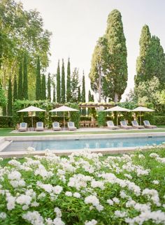 an outdoor swimming pool surrounded by white flowers and trees with umbrellas in the background