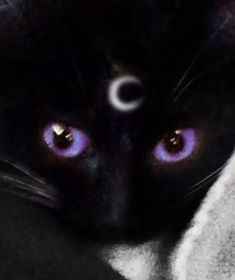 a black cat with purple eyes laying on top of a white blanket and looking at the camera