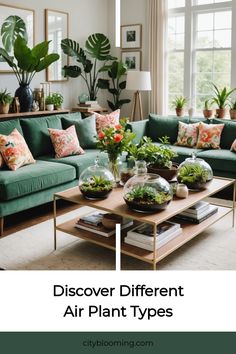 Stylish living room with green sofa, tropical plants, and terrariums on a coffee table. Diy Container Gardening