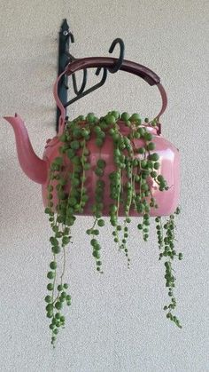 a pink teapot with green plants hanging from it