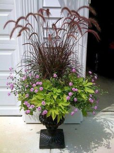 a potted plant with purple flowers in front of a garage door