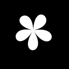 a white flower on a black background