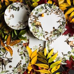 several plates with different designs on them surrounded by leaves