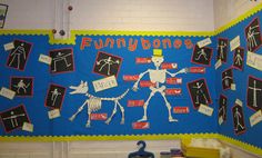 a bulletin board with skeletons and bones on it in a classroom setting for children to learn