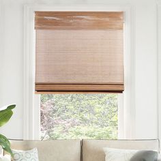 a living room with a couch and window covered in roman blind shades on the windowsill