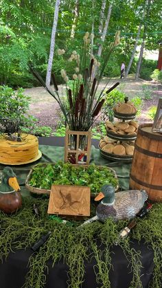 a table topped with lots of different types of plants and birds sitting on top of it