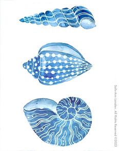 three seashells are shown in blue and white