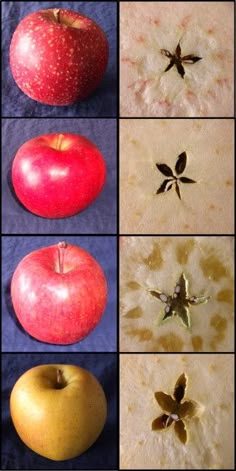 four different types of apples with leaves and seeds on them are shown in this collage