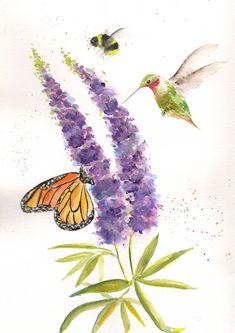 This is a 9 x 12" original watercolor painting of the beautiful pollinators of Texas.  The painting includes a monarch butterfly, a ruby throated hummingbirds and a bumblebee on a Vitex lilac flowers. Thanks for visiting my shop Hummingbird And Lilacs Tattoo, Hummingbird Tattoo With Lilac Flowers, Monarch Watercolor, Monarch Butterfly Watercolor Paintings, Monarch Butterfly On Lavender, Ruby Throated Hummingbird, Pollinator Garden, Lilac Flowers, Monarch Butterfly