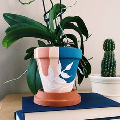 a potted plant sitting on top of a blue book next to a cacti