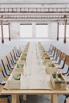 a long table with empty wine bottles and planters on the tables in front of it