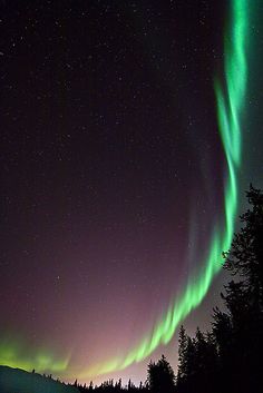 an aurora bore is seen in the night sky above some trees and snow covered mountains