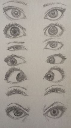 several different types of eyes drawn in pencil