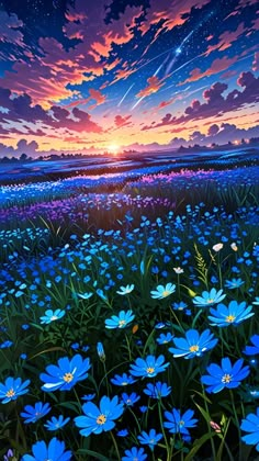 a field full of blue flowers with the sun setting in the sky behind it and stars above