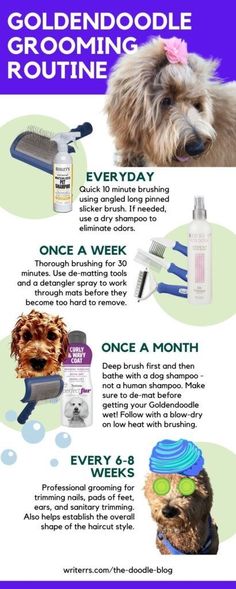 a poster with instructions on how to groom your dog's hair and make it look like