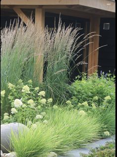 some plants and rocks in front of a building with a wooden structure on the side