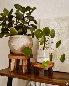 two potted plants sitting on wooden stools next to each other in front of a painting