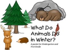 what do animals do in winter? a packet for children and first grade students to practice