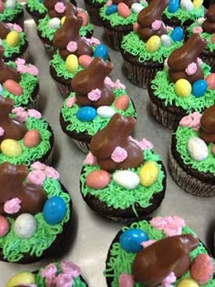 chocolate cupcakes decorated with easter eggs and grass