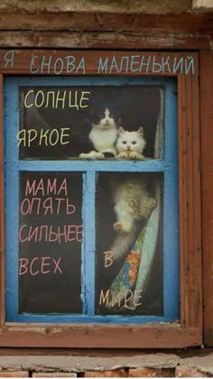 two cats sitting in a window with writing on it