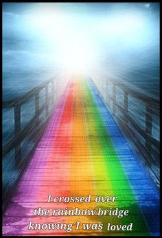 Rainbow Promise, Bridge Drawing, Rainbow Road, Bridge Painting, Dog Quotes Love, Rainbow Dog