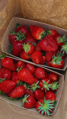 two boxes filled with lots of ripe strawberries