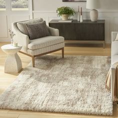 a living room filled with furniture and a white rug