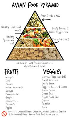 the food pyramid is filled with fruits and vegetables