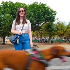 a woman in white shirt and blue jeans walking two brown dogs on leashes with people behind her