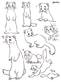 an image of otters coloring pages