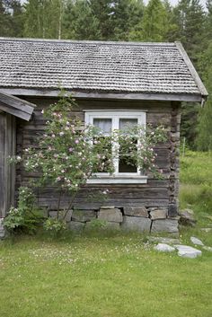 an old log cabin with flowers growing out of the window and grass in front of it