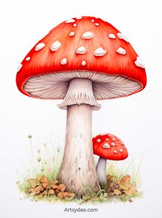 a drawing of a red mushroom with white dots on it's cap and legs