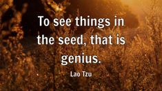 a field with grass and the sun in the background that says to see things in the seed, that is genius lao tzu