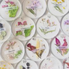 many plates with different flowers on them are labeled in the names of their respective plants