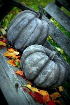 two gray pumpkins sitting on top of a wooden bench next to leaves and grass