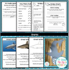 shark activities for kids to learn about sharks