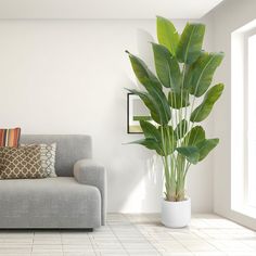 a living room with a couch and a large potted plant in the corner on the floor